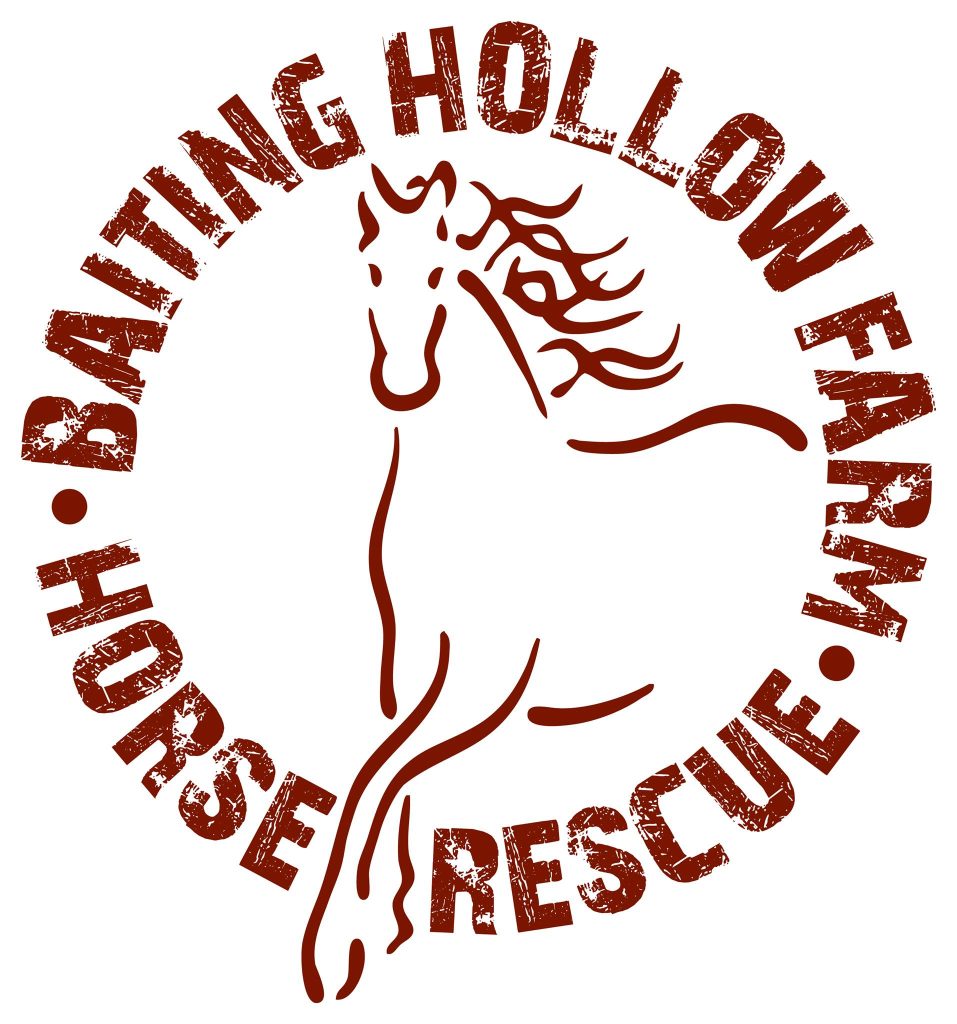 Baiting Hollow Farm Horse Rescue, Inc.