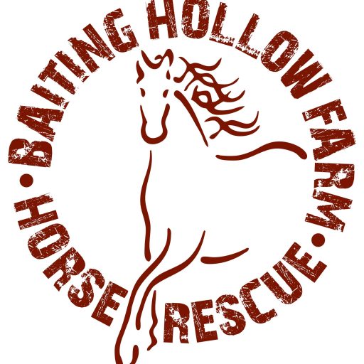 Baiting Hollow Farm Horse Rescue, Inc.